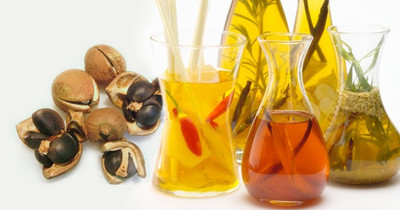 小型榨油機(jī)如何維護(hù)保養(yǎng)(圖1) 小型榨油機(jī)如何維護(hù)保養(yǎng)(圖1)