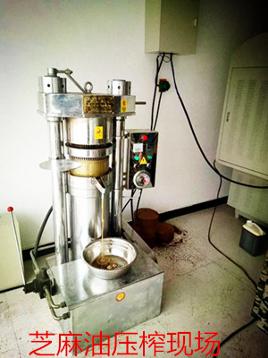 教你如何快速辨別花生油機好壞(圖1) 教你如何快速辨別花生油機好壞(圖1)