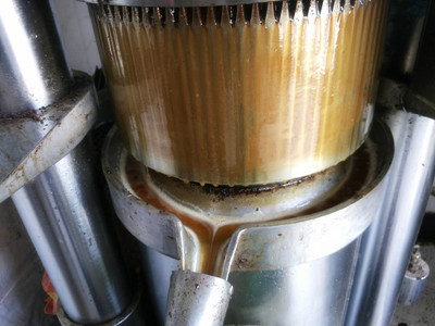 如何識別液壓榨油機出現(xiàn)的那些問題(圖1) 如何識別液壓榨油機出現(xiàn)的那些問題(圖1)