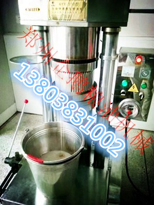 企鵝榨油機(jī)廠家說冷榨機(jī)的特點(diǎn)在哪里(圖1) 企鵝榨油機(jī)廠家說冷榨機(jī)的特點(diǎn)在哪里(圖1)