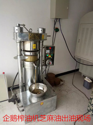 企鵝榨油機廠家教你如何分辨花生油好壞(圖1) 企鵝榨油機廠家教你如何分辨花生油好壞(圖1)