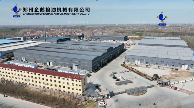 鄭州企鵝 鄭州企鵝