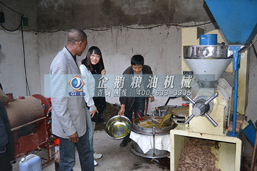 核桃榨油設備 核桃榨油設備