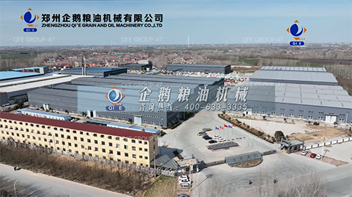 鄭州企鵝 鄭州企鵝