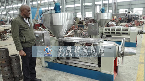 榨油機壓榨棕櫚果油脂您了解嗎(圖1) 榨油機壓榨棕櫚果油脂您了解嗎(圖1)